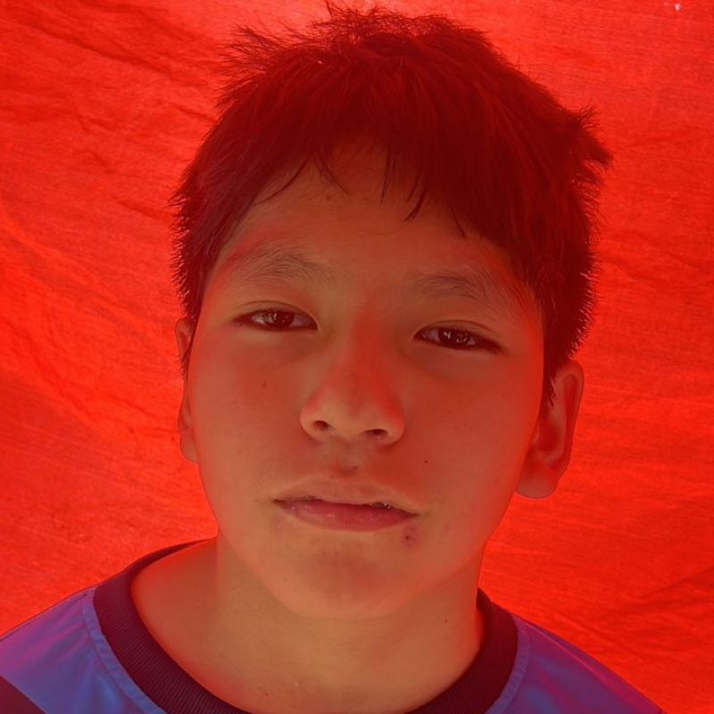 Image Description