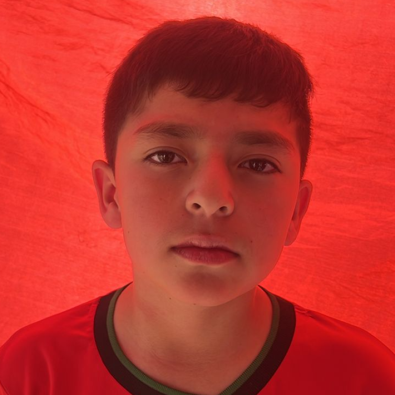 Image Description