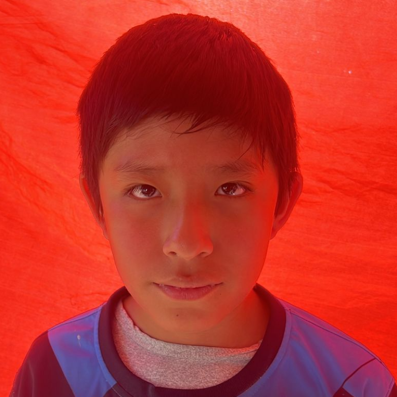 Image Description