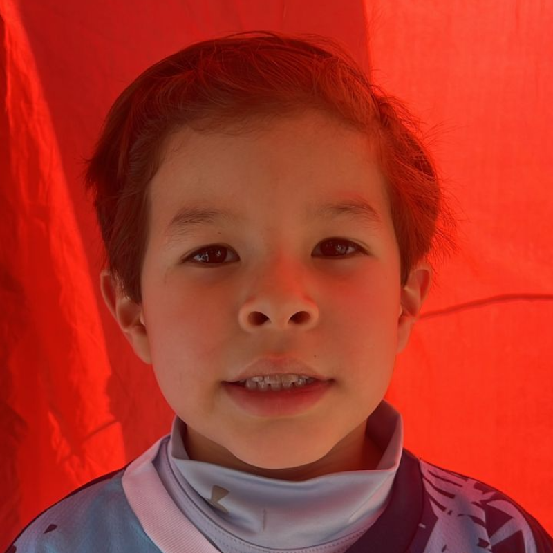Image Description